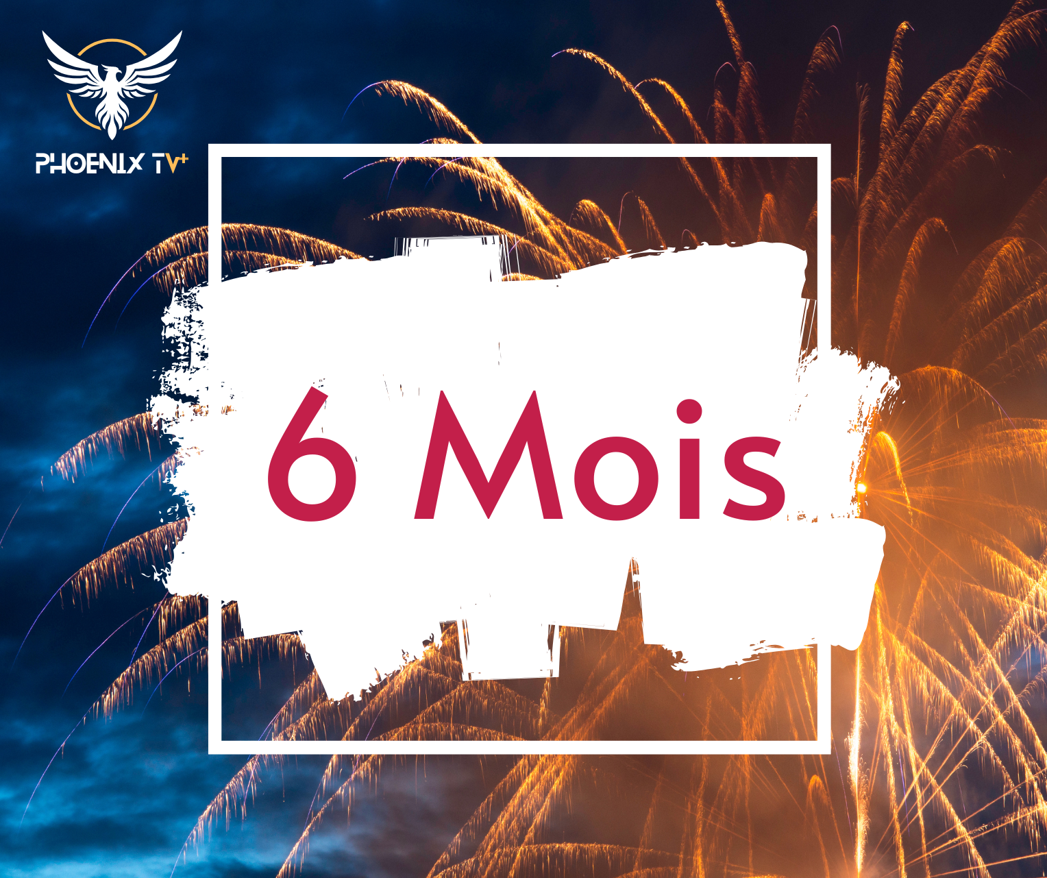 Abonnement 6 mois
